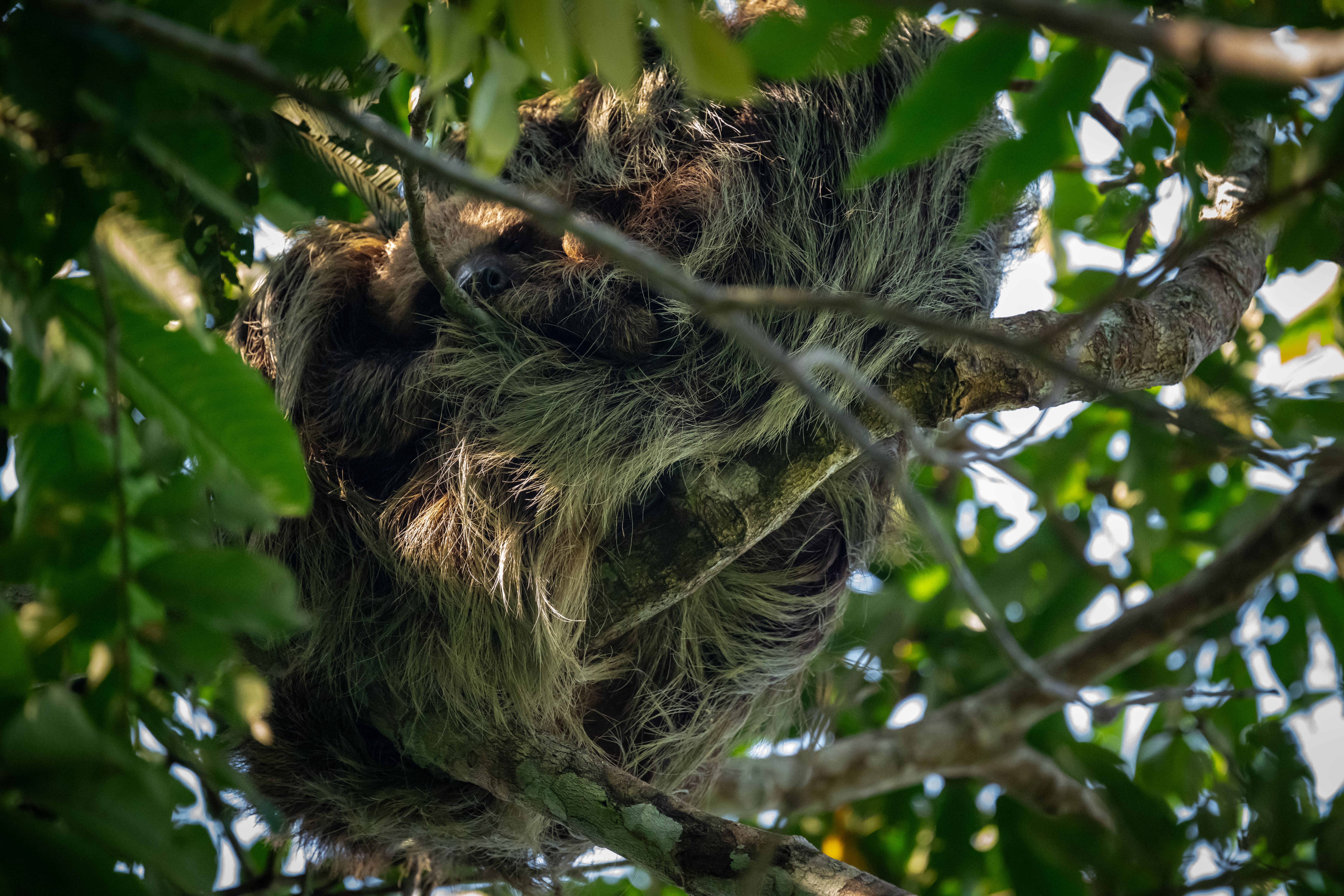 Amazon expedition photo 2